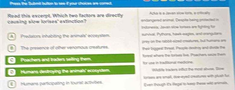 Press the Submit button to see if your choices are correct.
Read this excerpt. Which two factors are directly Acka is a Javan slow lors, a crifically
causing slow lorises' extinction? endangered animal. Desple being protedted in
ndonesia, Jevan slow torses are figtting for
A Predators inhabiting the animals' ecosystem. survial, Pythons, thawk-eagies, and orangulars
grey on the rabbil sized creatres, but humans are
B The presence of other venomous creatures. their biggest threalt, Pezple destroy and divide the
Poachers and traders selling them. forest where the lorses live. Ploachers saize them
for use in taditional medioine.
Humans destroying the animals' ecosystemn. Widiffe traders infict the most abuse. Slow
lorses are small, doe-eyed creatures with plush fur
E Hurams participating in tourist activilties.
Even though it's illegal to keep these wih animals