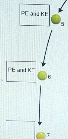 PE and KE
5
PE and KE
6
7