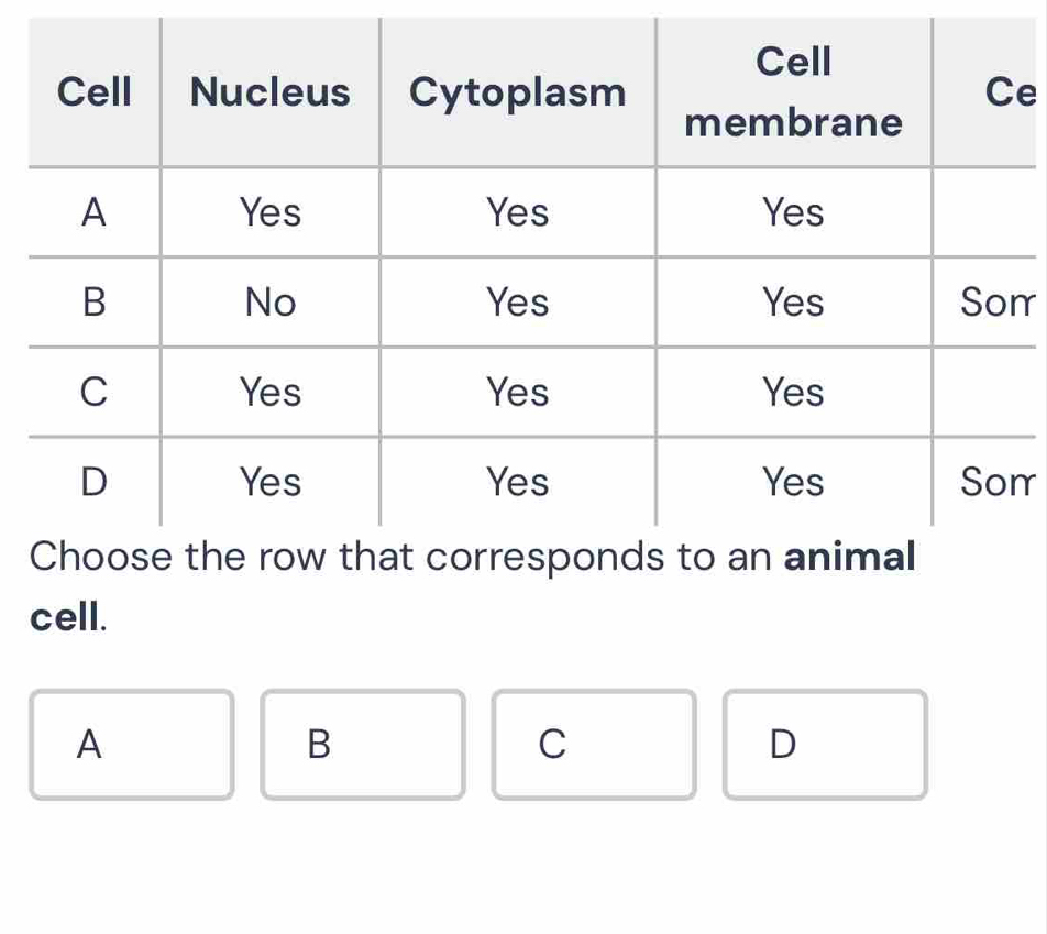 rr 
rr 
cell. 
A 
B 
C 
D