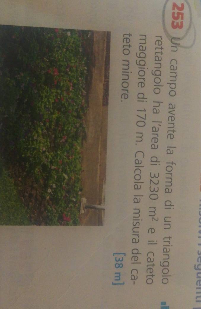 253 Un campo avente la forma di un triangolo 
rettangolo ha l'area di 3230m^2 e il cateto 
maggiore di 170 m. Calcola la misura del ca- 
teto minore. [38 m ]