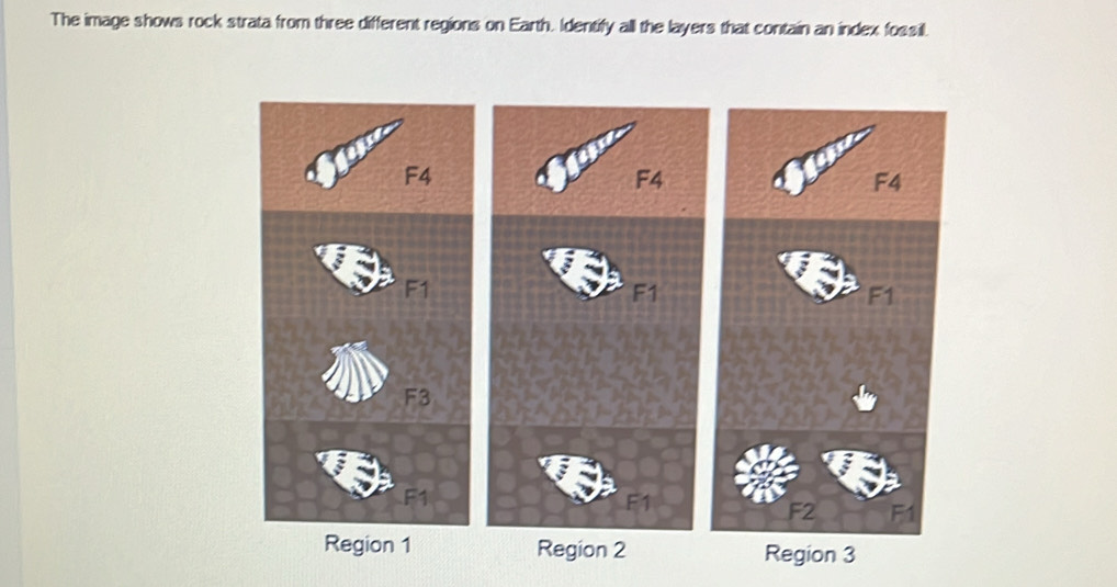 The image shows rock strata from three different regions on Earth. Identify all the layers that contain an index fossill.
F4
F1
F2 F1
Region 2 Region 3