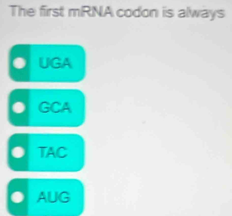 The first mRNA codon is always
UGA
GCA
TAC
AUG