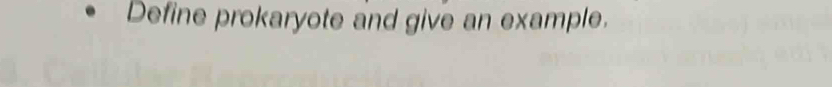 Define prokaryote and give an example.