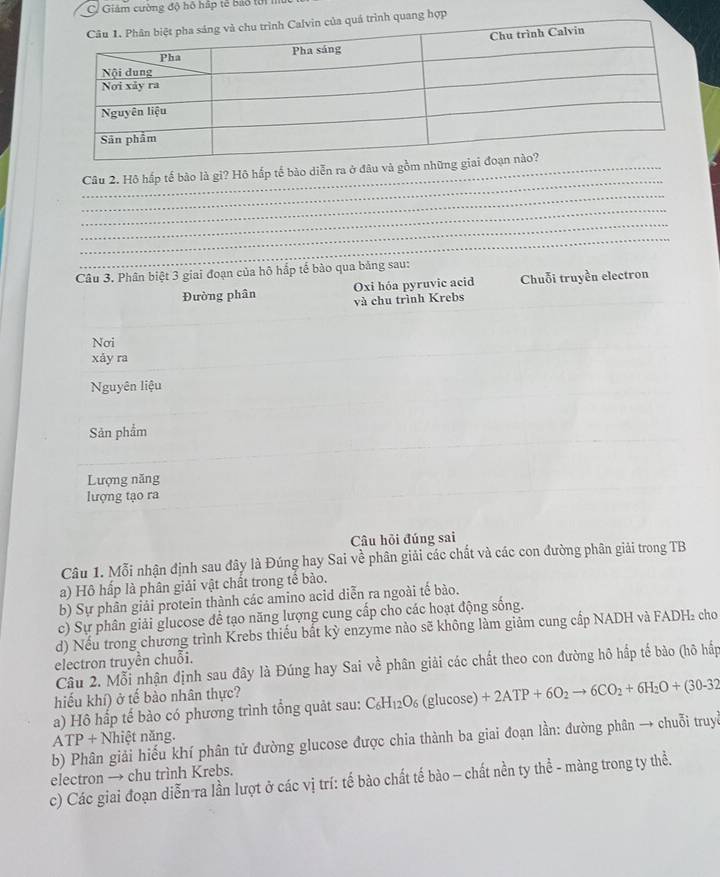 C/ Giám cường độ hộ hập tế bảo tới m
_
_Câu 2. Hộ hấp tế bào là gi? Hộ hấp tế bào diễn ra ở đâu và gồ
_
_
_
_
Câu 3. Phân biệt 3 giai đoạn của hô hắp tế bào qua bảng sau:
Đường phân Oxi hóa pyruvic acid Chuỗi truyền electron
và chu trình Krebs
Nơi
xåy ra
Nguyên liệu
Sản phẩm
Lượng năng
lượng tạo ra
Câu hỏi đúng sai
Câu 1. Mỗi nhận định sau đây là Đúng hay Sai về phân giải các chất và các con đường phân giải trong TB
a) Hộ hấp là phân giải vật chất trong tế bào.
b) Sự phân giải protein thành các amino acid diễn ra ngoài tế bào.
c) Sự phân giải glucose để tạo năng lượng cung cấp cho các hoạt động sống.
d) Nếu trong chương trình Krebs thiếu bất kỳ enzyme nào sẽ không làm giảm cung cấp NADH và FADH₂ cho
electron truyền chuỗi.
Câu 2. Mỗi nhận định sau đây là Đúng hay Sai về phân giải các chất theo con đường hô hấp tế bào (hô hấp
hiếu khí) ở tế bảo nhân thực?
a) Hô hắp tế bào có phương trình tổng quảt sau: C_6H_12O_6 (glucose) +2ATP+6O_2to 6CO_2+6H_2O+(30-32
ATP + Nhiệt năng.
b) Phân giải hiếu khí phân tử đường glucose được chia thành ba giai đoạn lần: đường phân → chuỗi truyề
electron → chu trình Krebs.
c) Các giai đoạn diễn ra lần lượt ở các vị trí: tế bào chất tế bào - chất nền ty thể - màng trong ty thể.