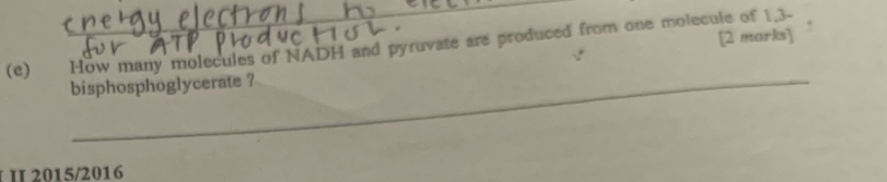 How many molecules of NADH and pyruvate are produced from one molecule of 1.3 - 
bisphosphoglycerate ? 
2015/2016