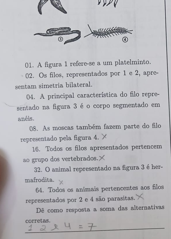 A figura 1 refere-se a um platelminto. 
02. Os filos, representados por 1 e 2, apre- 
sentam simetria bilateral. 
04. A principal característica do filo repre- 
sentado na figura 3 é o corpo segmentado em 
anéis. 
08. As moscas também fazem parte do filo 
representado pela figura 4. 
16. Todos os filos apresentados pertencem 
ao grupo dos vertebrados. 
32. O animal representado na figura 3 é her- 
mafrodita. 
64. Todos os animais pertencentes aos filos 
representados por 2 e 4 são parasitas. 
Dê como resposta a soma das alternativas 
corretas. 
_