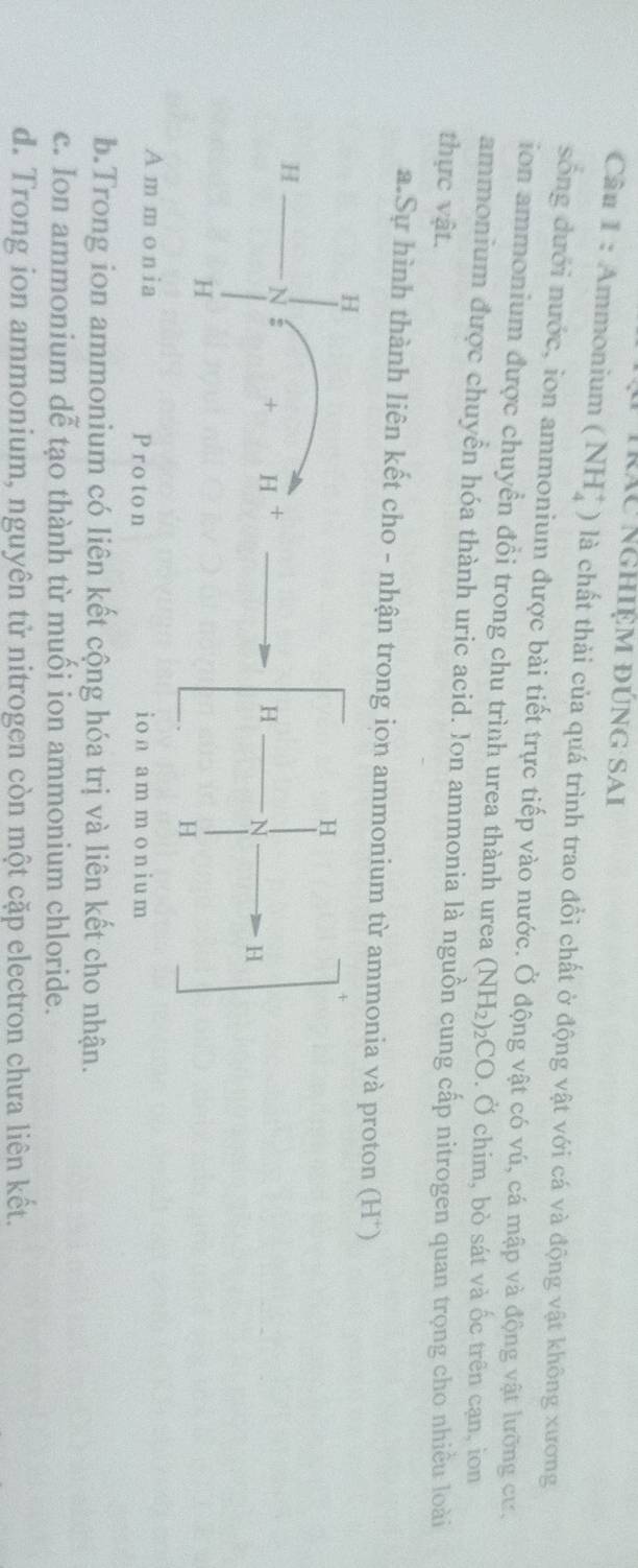 ràu nghiệm đúng Sai
Câu 1 : Ammonium (NH_4^(+) là chất thải của quá trình trao đổi chất ở động vật với cá và động vật không xương
sống đưới nước, ion ammonium được bài tiết trực tiếp vào nước. Ở động vật có vú, cá mập và động vật lưỡng cư,
ion ammonium được chuyển đổi trong chu trình urea thành urea (NH_2))_2CO. Ở chim, bò sát và ốc trên cạn, ion
ammonium được chuyển hóa thành uric acid. Jon ammonia là nguồn cung cấp nitrogen quan trọng cho nhiều loài
thực vật.
a.Sự hình thành liên kết cho - nhận trong ion ammonium từ ammonia và proton (H*)
H
H N H
H
A m m o nia Proton io n am m o niu m
b.Trong ion ammonium có liên kết cộng hóa trị và liên kết cho nhận.
c. Ion ammonium dễ tạo thành từ muối ion ammonium chloride.
d. Trong ion ammonium, nguyên tử nitrogen còn một cặp electron chưa liên kết.
