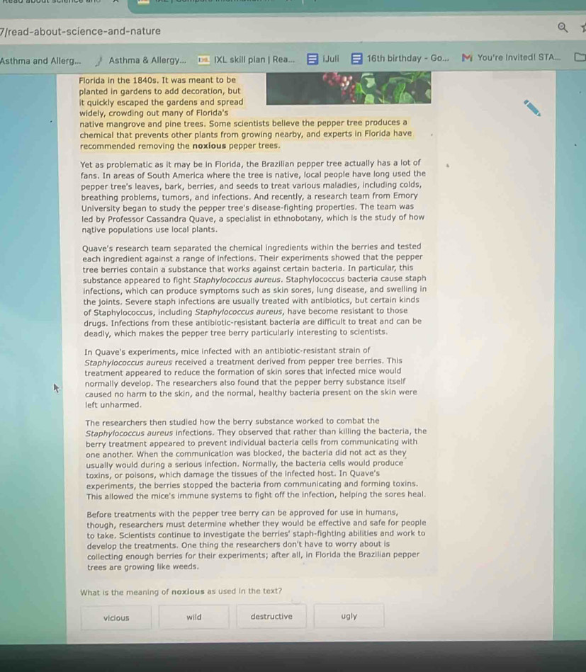 7/read-about-science-and-nature
Asthma and Allerg...  Asthma & Allergy... IXL skill plan | Rea... iJuli 16th birthday - Go... M You're Invited! STA...
Florida in the 1840s. It was meant to be
planted in gardens to add decoration, but
it quickly escaped the gardens and spread
widely, crowding out many of Florida's
native mangrove and pine trees. Some scientists believe the pepper tree produces a
chemical that prevents other plants from growing nearby, and experts in Florida have
recommended removing the noxious pepper trees.
Yet as problematic as it may be in Florida, the Brazilian pepper tree actually has a lot of
fans. In areas of South America where the tree is native, local people have long used the
pepper tree's leaves, bark, berries, and seeds to treat various maladies, including colds,
breathing problems, tumors, and infections. And recently, a research team from Emory
University began to study the pepper tree's disease-fighting properties. The team was
led by Professor Cassandra Quave, a specialist in ethnobotany, which is the study of how
native populations use local plants
Quave's research team separated the chemical ingredients within the berries and tested
each ingredient against a range of infections. Their experiments showed that the pepper
tree berries contain a substance that works against certain bacteria. In particular, this
substance appeared to fight Staphylococcus aureus. Staphylococcus bacteria cause staph
infections, which can produce symptoms such as skin sores, lung disease, and swelling in
the joints. Severe staph infections are usually treated with antibiotics, but certain kinds
of Staphylococcus, including Staphylococcus aureus, have become resistant to those
drugs. Infections from these antibiotic-resistant bacteria are difficult to treat and can be
deadly, which makes the pepper tree berry particularly interesting to scientists.
In Quave's experiments, mice infected with an antibiotic-resistant strain of
Staphylococcus aureus received a treatment derived from pepper tree berries. This
treatment appeared to reduce the formation of skin sores that infected mice would
normally develop. The researchers also found that the pepper berry substance itself
caused no harm to the skin, and the normal, healthy bacteria present on the skin were
left unharmed.
The researchers then studied how the berry substance worked to combat the
Staphylococcus aureus infections. They observed that rather than killing the bacteria, the
berry treatment appeared to prevent individual bacteria cells from communicating with
one another. When the communication was blocked, the bacteria did not act as they
usually would during a serious infection. Normally, the bacteria cells would produce
toxins, or poisons, which damage the tissues of the infected host. In Quave's
experiments, the berries stopped the bacteria from communicating and forming toxins.
This allowed the mice's immune systems to fight off the infection, helping the sores heal.
Before treatments with the pepper tree berry can be approved for use in humans,
though, researchers must determine whether they would be effective and safe for people
to take. Scientists continue to investigate the berries' staph-fighting abilities and work to
develop the treatments. One thing the researchers don't have to worry about is
collecting enough berries for their experiments; after all, in Florida the Brazilian pepper
trees are growing like weeds.
What is the meaning of noxious as used in the text?
vicious wild destructive ugly