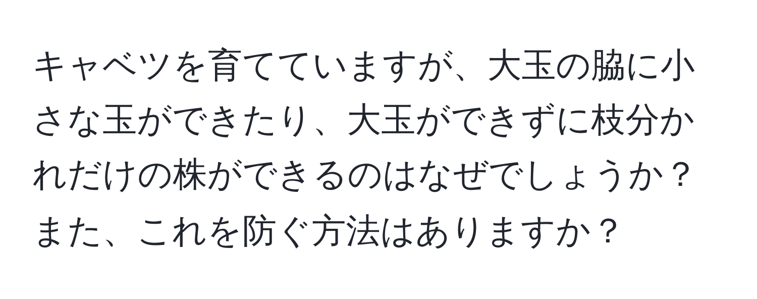 キャベツを育てていますが、大玉の脇に小さな玉ができたり、大玉ができずに枝分かれだけの株ができるのはなぜでしょうか？また、これを防ぐ方法はありますか？