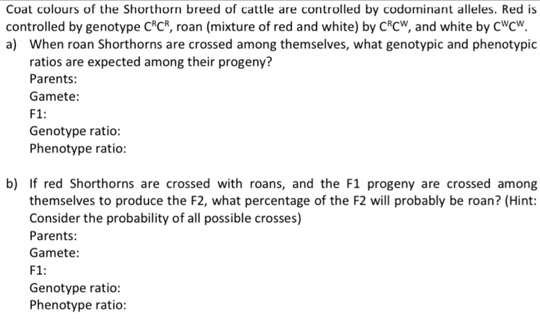 Coat colours of the Shorthorn breed of cattle are controlled by codominant alleles. Red is
controlled by genotype C^RC^R , roan (mixture of red and white) by C^RC^W , and white by C^WC^W. 
a) When roan Shorthorns are crossed among themselves, what genotypic and phenotypic
ratios are expected among their progeny?
Parents:
Gamete:
F1:
Genotype ratio:
Phenotype ratio:
b) If red Shorthorns are crossed with roans, and the F1 progeny are crossed among
themselves to produce the F2, what percentage of the F2 will probably be roan? (Hint:
Consider the probability of all possible crosses)
Parents:
Gamete:
F1:
Genotype ratio:
Phenotype ratio: