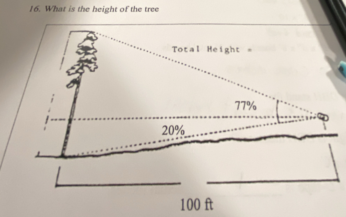 What is the height of the tree