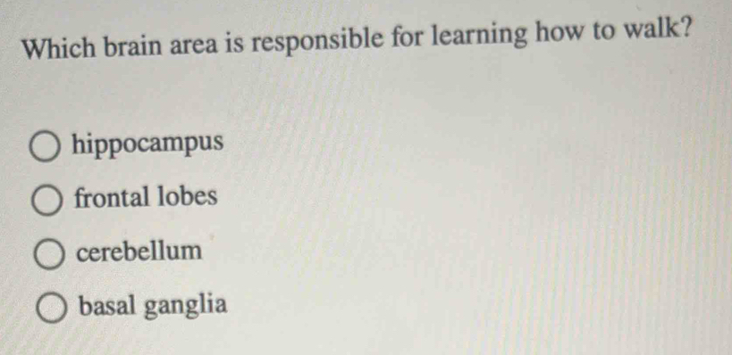 Which brain area is responsible for learning how to walk?
hippocampus
frontal lobes
cerebellum
basal ganglia