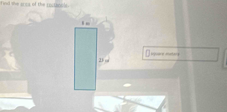 Find the area of the rectanole. 
square meters