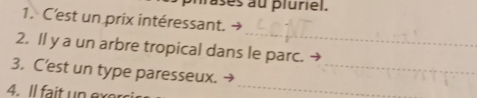 fases au pluriel. 
1. C'est un prix intéressant. 
_ 
2. ll y a un arbre tropical dans le parc. 
3. C’est un type paresseux._ 
4. l fait n ex e 
_