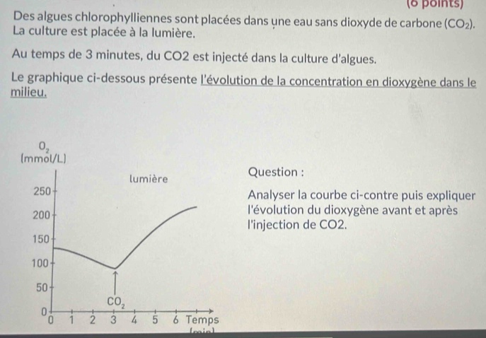 Des algues chlorophylliennes sont placées dans une eau sans dioxyde de carbone (CO_2). 
La culture est placée à la lumière. 
Au temps de 3 minutes, du CO2 est injecté dans la culture d'algues. 
Le graphique ci-dessous présente l'évolution de la concentration en dioxygène dans le 
milieu.
O_2
(mmol/L) 
lumière Question :
250 Analyser la courbe ci-contre puis expliquer
200 l'évolution du dioxygène avant et après 
l'injection de CO2.
150
100
50
CO_2
1 2 3 4 5 6 Temps 
[oainl