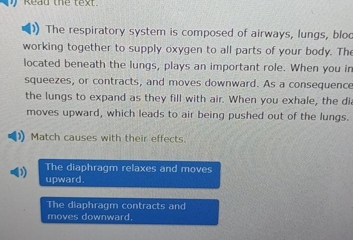 Read the text.
The respiratory system is composed of airways, lungs, blod
working together to supply oxygen to all parts of your body. The
located beneath the lungs, plays an important role. When you in
squeezes, or contracts, and moves downward. As a consequence
the lungs to expand as they fill with air. When you exhale, the dia
moves upward, which leads to air being pushed out of the lungs.
Match causes with their effects.
The diaphragm relaxes and moves
upward.
The diaphragm contracts and
moves downward.