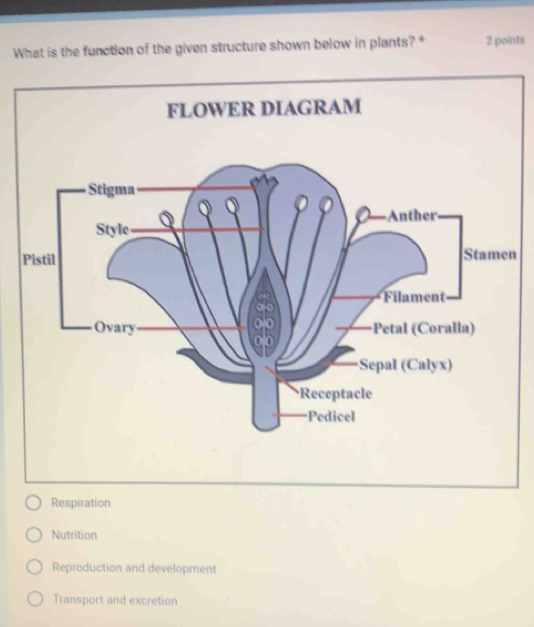 What is the function of the given structure shown below in plants? * 2 points
FLOWER DIAGRAM
Respiration
Nutrition
Reproduction and development
Transport and excretion