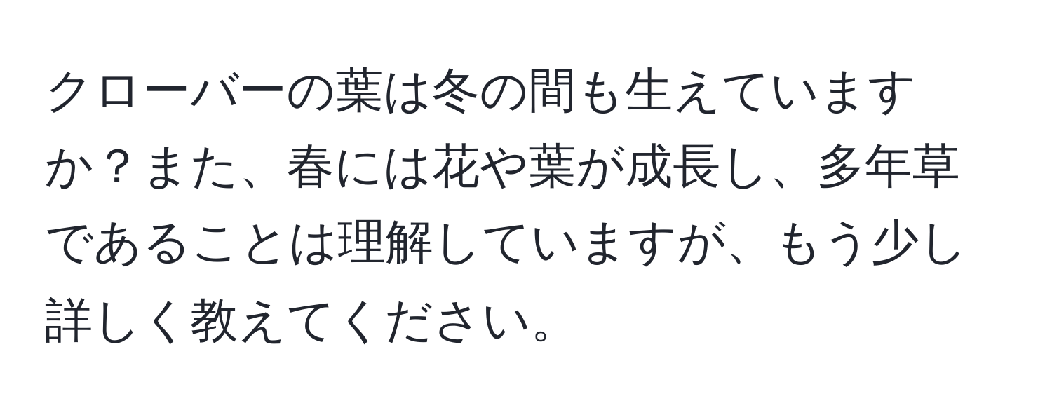 クローバーの葉は冬の間も生えていますか？また、春には花や葉が成長し、多年草であることは理解していますが、もう少し詳しく教えてください。