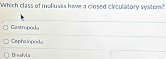 Which class of mollusks have a closed circulatory system?
Gastropoda
Cephalopoda
Bivalvia