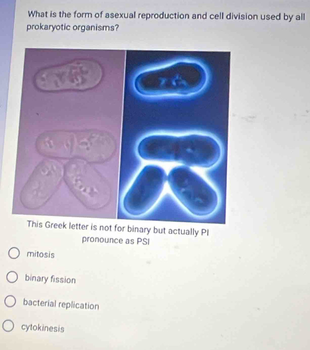 What is the form of asexual reproduction and cell division used by all
prokaryotic organisms?
This Greek letter is not for binary but actually PI
pronounce as PSI
mitosis
binary fission
bacterial replication
cytokinesis