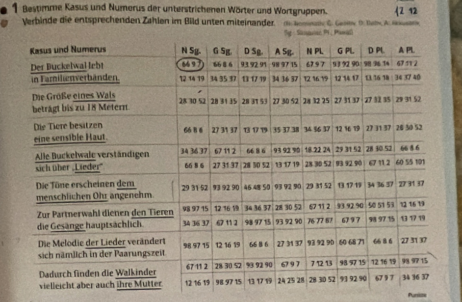 Bestimme Kasus und Numerus der unterstrichenen Wörter und Wortgruppen. 2 12 
Verbinde die entsprechenden Zahlen im Bild unten miteinander. di homnaty G. Geait. D. Daby. A. Rakusbr 
Punize