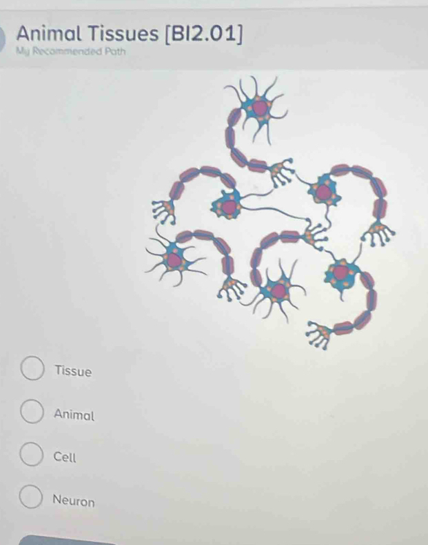 Animal Tissues [BI2.01]
My Recommended Path
Tissue
Animal
Cell
Neuron