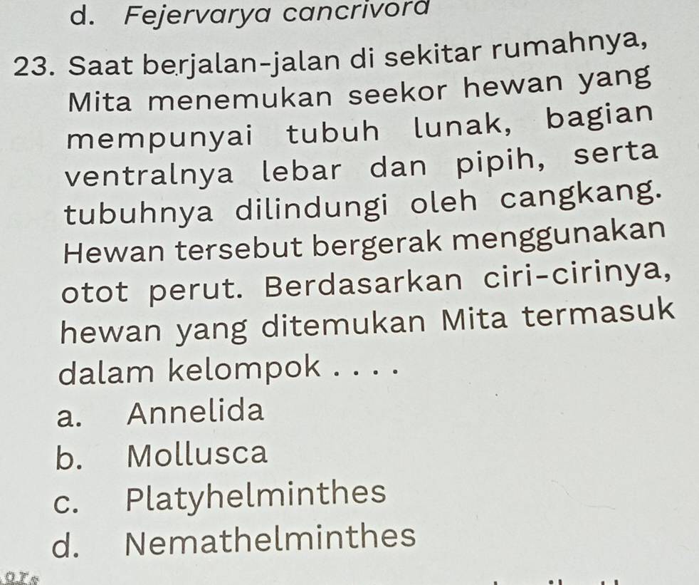 d. Fejervarya cancrivor
23. Saat berjalan-jalan di sekitar rumahnya,
Mita menemukan seekor hewan yang
mempunyai tubuh lunak, bagian
ventralnya lebar dan pipih, serta
tubuhnya dilindungi oleh cangkang.
Hewan tersebut bergerak menggunakan
otot perut. Berdasarkan ciri-cirinya,
hewan yang ditemukan Mita termasuk
dalam kelompok . . . .
a. Annelida
b. Mollusca
c. Platyhelminthes
d. Nemathelminthes
OTs