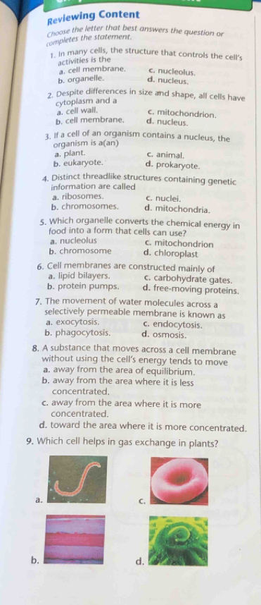 Reviewing Content
Choose the letter that best answers the question o
completes the statement.
1. In many cells, the structure that controls the cell’s
activities is the
a. cell membrane. c. nucleolus.
b. organelle. d. nucleus.
2. Despite differences in size and shape, all cells have
cytoplasm and a
a. cell wall. c. mitochondrion.
b. cell membrane. d. nucleus.
3. If a cell of an organism contains a nucleus, the
organism is a(an)
a. plant. c. animal.
b. eukaryote. d. prokaryote.
4. Distinct threadlike structures containing genetic
information are called
a. ribosomes. c. nuclei.
b. chromosomes. d. mitochondria.
5. Which organelle converts the chemical energy in
food into a form that cells can use?
a. nucleolus c. mitochondrion
b. chromosome d. chloroplast
6. Cell membranes are constructed mainly of
a. lipid bilayers. c. carbohydrate gates.
b. protein pumps. d. free-moving proteins.
7. The movement of water molecules across a
selectively permeable membrane is known as
a. exocytosis. c. endocytosis.
b. phagocytosis. d. osmosis.
8. A substance that moves across a cell membrane
without using the cell’s energy tends to move
a. away from the area of equilibrium.
b. away from the area where it is less
concentrated,
c. away from the area where it is more
concentrated.
d. toward the area where it is more concentrated.
9. Which cell helps in gas exchange in plants?
a
C
b.
d