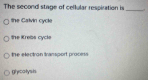 The second stage of cellular respiration is _.
the Calvin cycle
the Krebs cycle
the electron transport process
□ lycolysis