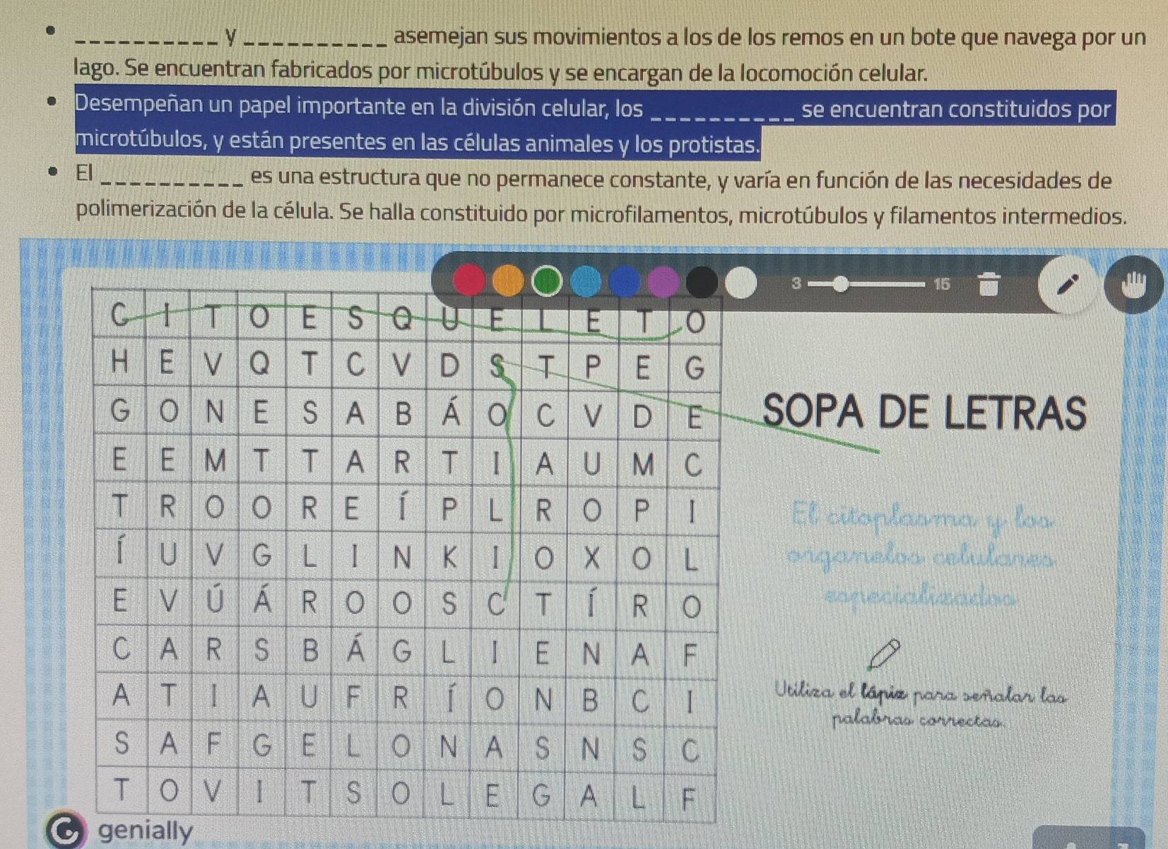 y_ asemejan sus movimientos a los de los remos en un bote que navega por un 
lago. Se encuentran fabricados por microtúbulos y se encargan de la locomoción celular. 
Desempeñan un papel importante en la división celular, los _se encuentran constituidos por 
microtúbulos, y están presentes en las células animales y los protistas. 
El 
_es una estructura que no permanece constante, y varía en función de las necesidades de 
polimerización de la célula. Se halla constituido por microfilamentos, microtúbulos y filamentos intermedios.
3
15
SOP DE LETRAS 
El citoplarma 
Utiliza el lápio para señalar las 
palabras correctas 
o genially