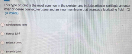 This type of joint is the most common in the skeleton and include articular cartilagé, an outer
layer of dense connective tissue and an inner membrane that secretes a lubricating fluid.
(4 Points)
cartilaginous joint
fibrous joint
reticular joint
synovial joint