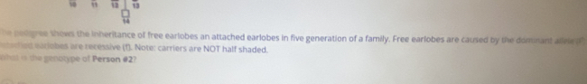 he podgree shows the inheritance of free earlobes an attached earlobes in five generation of a family. Free earlobes are caused by the dominant allel f 
ntactied earlobes are recessive (1). Note: carriers are NOT half shaded. 
hal is the genotype of Person # 2?