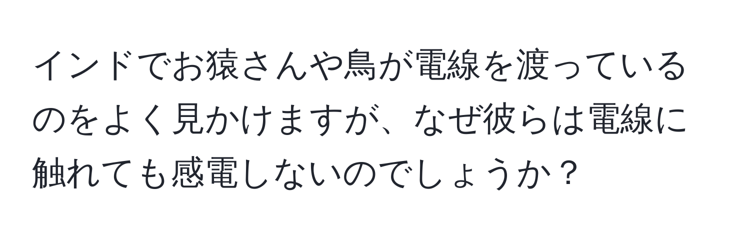 インドでお猿さんや鳥が電線を渡っているのをよく見かけますが、なぜ彼らは電線に触れても感電しないのでしょうか？