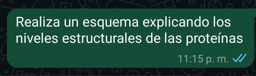 Realiza un esquema explicando los 
niveles estructurales de las proteínas
11:15 p. m.