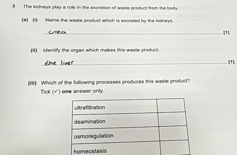 The kidneys play a role in the excretion of waste product from the body. 
(a) (i) Name the waste product which is excreted by the kidneys. 
_.[1] 
(ii) Identify the organ which makes this waste product. 
_[1] 
(iii) Which of the following processes produces this waste product? 
Tick (▲) one answer only.