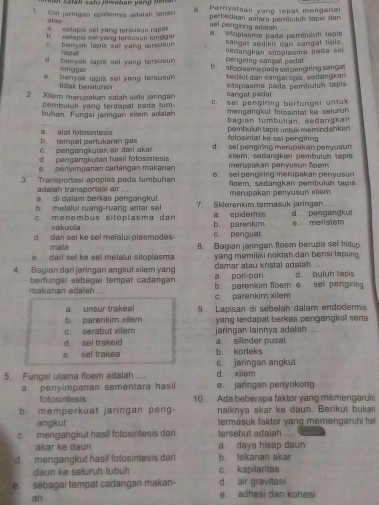 a  Safah satu jawaban vang Dana
1. Cin jaringan epidemis adalah tendr 6. Pernyalaan yang tepat mengena
atas sel pengiring adalsh perbedaan antära perntulul tapis dar
selapis sel yang tersusun rapa
b  selapis sel yang tersusun longgar. sitoplasma pada pembuluh tpis
C. banyak lapis sell yang tersusun sangat sedikit dan sangat tipls .
rapat
d banyak tapis sel yang tersusun Pengiring sangal padat secangkan sitoplasma pada sel
lang g e
e. banyak lapis sel yang tersusun b  shoplasma pada selpengiring sanga 
sedikit dan sangar tpis, sedangkan
tidak baraturan  soplasma páda pembuluh tapis
sangat padat
2. Xilem merupakan salah satu jaringan c. sel pengiring berfungsi untuk
tembulgh yang terdapat pada tum- mengangkut fetosintat ke seluruh 
buhan. Fungsi jaringan xilem adalah   ba g ian tu mb ühan s ed a n g kan 
pembuuh tapis untuk mamindahkar
b tempal pertukarán gas a  alat fotosintes s fatosintal ke seï pengiring 
. pengangkutan air dari akar d. sel pengiring merupakan penyusun
d pengangkutan hasil fotosintesis  xillem, sedangkan pembuluh tapis
penyimpanæn cadangan makanan merupakan penyusun foem
3. Transportasi apoplas pada tumbuhan e. sel pengiring merupakan penyusun
adalah transportasi air  flcem, sedangkan pembulüh taạis
di dalam berkas pengangkut merupakan penyusun xilem
b. melalui ruang-ruang antar sel 7. Sklerenkim termasuk jaringan    
m enembus sitóplasma dan a. epidermis b. parenkim d. pengangkut
vakuola
d dan sel ke sel mefalui plasmodes- c. penguat e meristem
mata
e dari sel ke sel melaui sitoplasma B. Bagian jaringan floom berupa sel hidup
yang memiliki noktah dan bensi lepung.
4. Bagian dari jaringan angkut xilem yang damar atau kristal adalah ..... d. buluh tapis
a. pori-pori
al a n  an a dala h      berfungsi sebagai tempat cadangan b. parenkim floem e sel pengiring
a unsur trakeal c. parenkim xilem
b. parenkim xilem 9. Lapisan di sebelah dalam endoderms
c serabut xilem yang terdapal berkas pengangkut senta 
d sel trakeid a. silinder pusa jaringan lainnya adalah ....
e sel trakea c jaringan angkut b. korteks
5. Fungsi utama floem adalah .... d. xiliem
a penyimpanan sementara hasil e. jaringan penyokong
fotosintesis 10. Ada beberapa faktor yang memengaruhi
b. memperkuat jaringan peng- naiknya akar ke daun. Berikut bukan
angkut termasuk faktor yang memengaruhi hal 
c. mengangkut hasil fotosintesis dari tersebut adalah
akar ke daun a daya hisap daun
d mengangkut hasil fotosintesis dan b. tekanan akar
daun ke seluruh tubuh c. kapilaritas
é sebagai tempat cadangan makan- d. air gravlasi
an
e adhesi dan kohesi