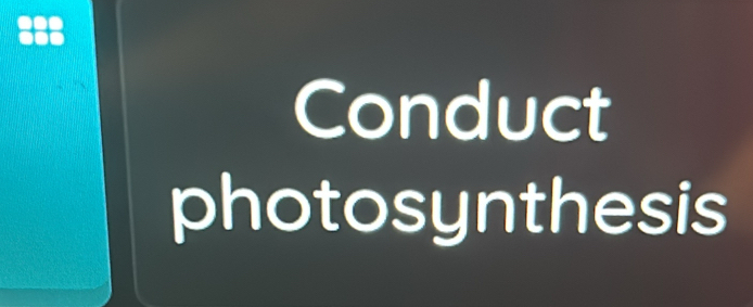 a 
Conduct 
photosynthesis