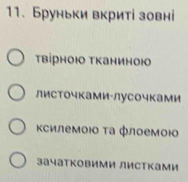 Бруньки вкриті зовні 
τΒрною Τканиною 
листочками-лусочками 
Κсилемοю τа флоемοю 
зачатковими Листками