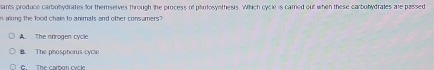 lants produce carbohydrates for themselves through the process of pholosynthesrs. Which cycle is carred out when these carbohydrates are passed
n along the food chain to animals and other consumers?
A. The nrtrogen cycle
B. The phosphorus cycle
G. The carbon cycle