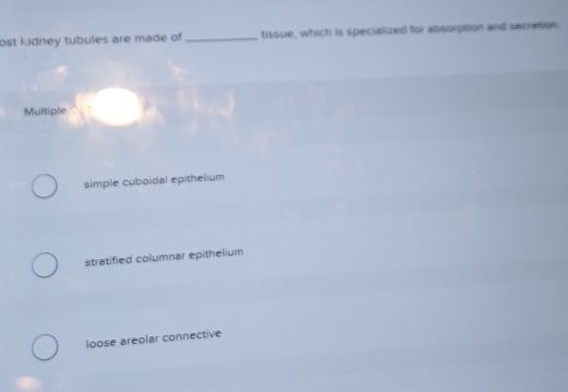 ost kidney tubules are made of _tissue, which is specialized for absorpsion and secreson
Multiple
simple cuboidal epithelium
stratified columnar epithelium
loose areolar connective