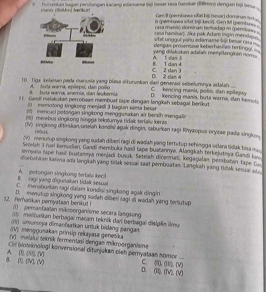 Perhatikan bagan persilangan kacang edamame biji besar rasa hambar (BBmm) dengan biji besar a
manis (BbMm) berikut!
Gen B (pembawa sifat biji besar) dominan terhad
b (pembawa sifat biji kecil). Gen M (pembawa s
rasa  manis dominan terhadap m embawsi
rasa hambar). Jika pak Adam ingin mendapat
sifat un g gul yaitu edamame biji besar rasa m
dengan prosentase keberhasilan tertinggi, m
yang dilakukan adalah menyilangkan nomor
A. 1 dan 3
B. 1 dan 4
C. 2 dan 3
D. 2 dan 4
10. Tiga kelainan pada manusia yang biasa diturunkan dari generasi sebelumnya adalah ....
A. buta warna, epilepsi, dan polio C. kencing manis, polio, dan epilepsy
B. buta warna, anemia, dan leukemia D. kencing manis, buta warna, dan hemofili
11. Gandi melakukan percobaan membuat tape dengan langkah sebagai berikut
(1) memotong singkong menjadi 3 bagian sama besar
(II) mencuci potongan singkong menggunakan air bersih mengalir
(III) merebus singkong hingga teksturnya tidak terlalu keras
(IV) singkong ditiriskan,setelah kondisi agak dingin, taburkan ragi Rhyzopus oryzae pada singkong
rebus,
(V) menutup singkong yang sudah diberi ragi di wadah yang tertutup sehingga udara tidak bisa mas
Setelah 3 harl kemudian, Gandi membuka hasil tape buatannya. Alangkah terkejutnya Gandi kar
ternyata tape hasil buatannya menjadi busuk. Setelah dicermati, kegagalan pembatan tape Ga
disebabkan karena ada langkah yang tidak sesuai saat pembuatan. Langkah yang tidak sesuai ada
A. potongan singkong terlalu kecil
B. ragi yang digunakan tidak sesuai
C. menaburkan ragi dalam kondisi singkong agak dingin
D. menutup singkong yang sudah diberi ragi di wadah yang tertutup
12. Perhatikan pernyataan berikut !
(1) pemanfaatan mikroorganisme secara langsung
(1) melibatkan berbagai macam teknik dari berbagai disiplin ilmu
(III) umumnya dimanfaatkan untuk bidang pangan
(IV) menggunakan prinsip rekayasa genetika
(V) melalui teknik fermentasi dengan mikroorganisme
Ciri bioteknologi konvensional ditunjukan oleh pernyataan nomor ....
A. (I), (III), (V) C. (II), (III), (V)
B. (I), (IV), (V) D. (II), (IV), (V)