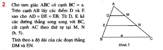 Cho tam giác ABC có cạnh BC=a. 
Trên cạnh AB lấy các điểm D và E 
sao cho AD=DE=EB. Từ D, E kẻ 
các đường thẳng song song với BC, 
cắt cạnh AC theo thứ tự tại M, N 
(h. 5). 
Tính theo a độ dài của các đoạn thẳng
DM và EN.