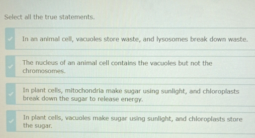 Select all the true statements.
In an animal cell, vacuoles store waste, and lysosomes break down waste.
The nucleus of an animal cell contains the vacuoles but not the
chromosomes.
In plant cells, mitochondria make sugar using sunlight, and chloroplasts
break down the sugar to release energy.
In plant cells, vacuoles make sugar using sunlight, and chloroplasts store
the sugar.