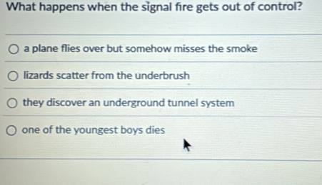 What happens when the signal fire gets out of control?
a plane flies over but somehow misses the smoke
lizards scatter from the underbrush
they discover an underground tunnel system
one of the youngest boys dies