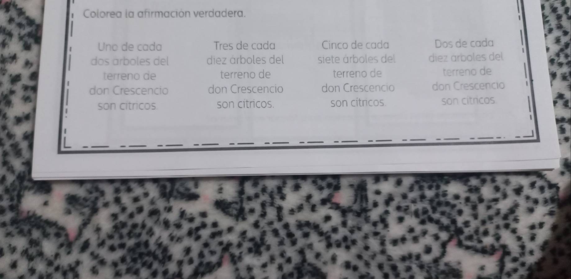 Colorea la afirmación verdadera.
Uno de cada Tres de cada Cinco de cada Dos de cada
dos árboles del diez árboles del siete árboles del diez árboles del
terreno de terreno de terreno de terreno de
don Crescencio don Crescencio don Crescencio don Crescencio
son citricos. son citricos. son cítricos. son cítricos.