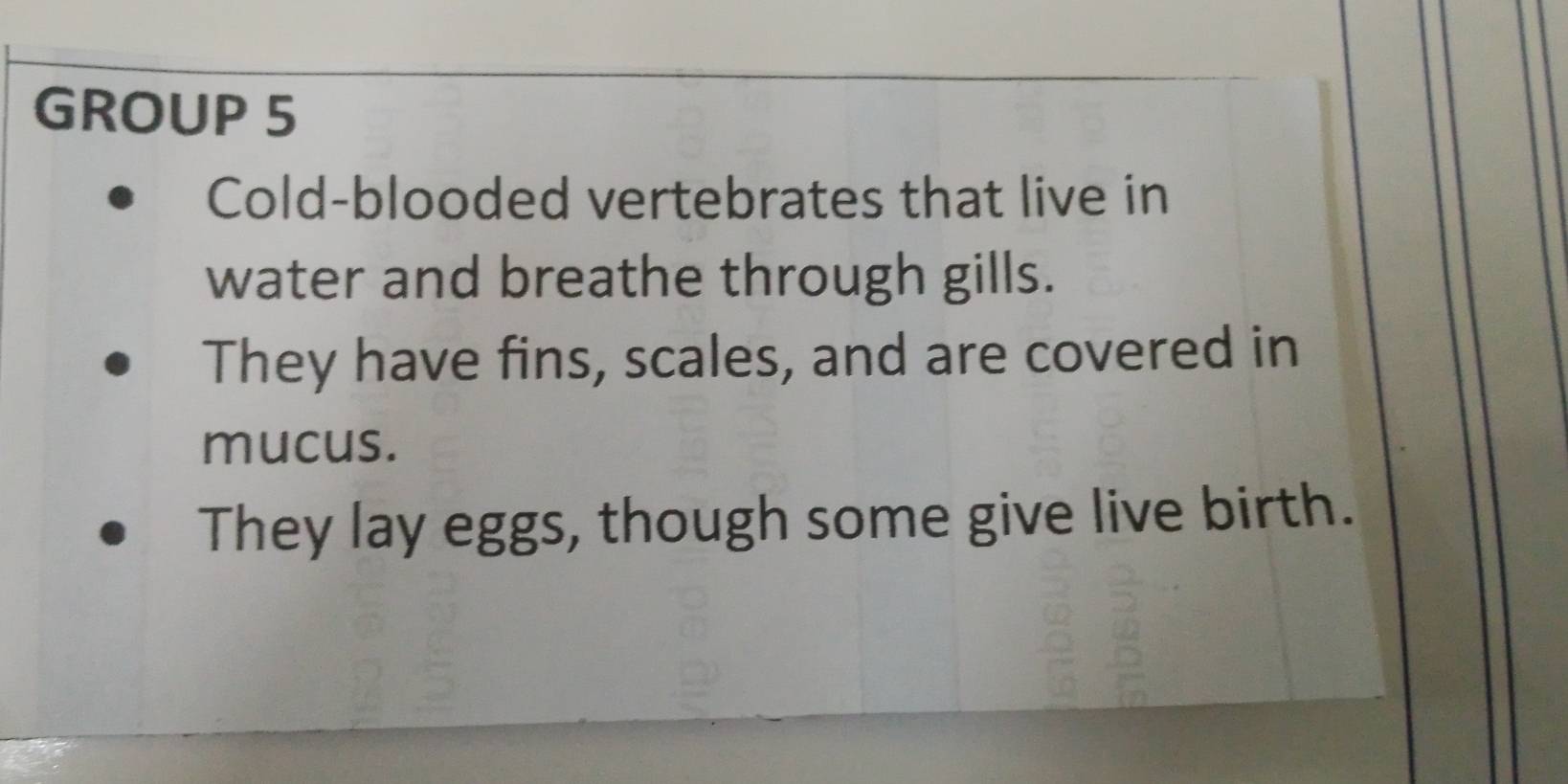 GROUP 5 
Cold-blooded vertebrates that live in 
water and breathe through gills. 
They have fins, scales, and are covered in 
mucus. 
They lay eggs, though some give live birth.