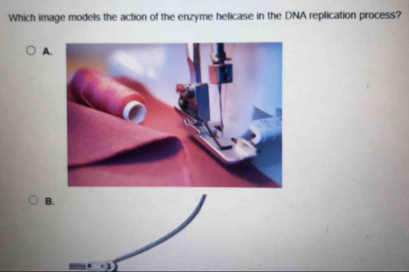 Which image models the action of the enzyme helicase in the DNA replication process? 
A. 
B.