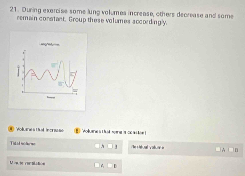 During exercise some lung volumes increase, others decrease and some
remain constant. Group these volumes accordingly.
A Volumes that increase B Volumes that remain constant
A□ B
Tidal volume Residual volume □ D
A 
Minute ventilation
A□ B