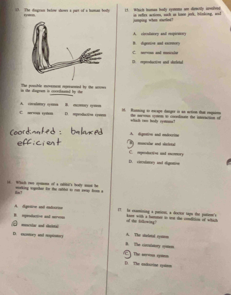 The diagram below shows a part of a human body 15. Which human body systems are directly involved
system. in reflex actions, such as knee jerk, blinking, and
jumping when startled?
A. circulatory and respiratory
B. digestive and excretory
C. nervous and muscular
D. reproductive and skeletal
The possible movement represented by the arrows
in the diagram is coordinated by the
A. circulatory system B. excretory system
16. Running to escape danger is an action that requires
C. nervous system D. reproductive system the nervous system to coordinate the interaction of
which two body systems?
A. digestive and endocrine
B muscular and skeletal
C. reproductive and excretory
D. circulatory and digestive
14. Which two systems of a rabbit's body must be
working together for the rabbit to run away from a
fax ?
A. digestive and endocrine 17. In examining a patient, a doctor taps the patient's
knee with a hammer to test the condition of which
B. reproductive and nervous of the following?
C muscular and skeletal
D. excretory and respiratory
A. The skeletal system
B. The circulatory system
C. The nervous system
D. The endocrine system