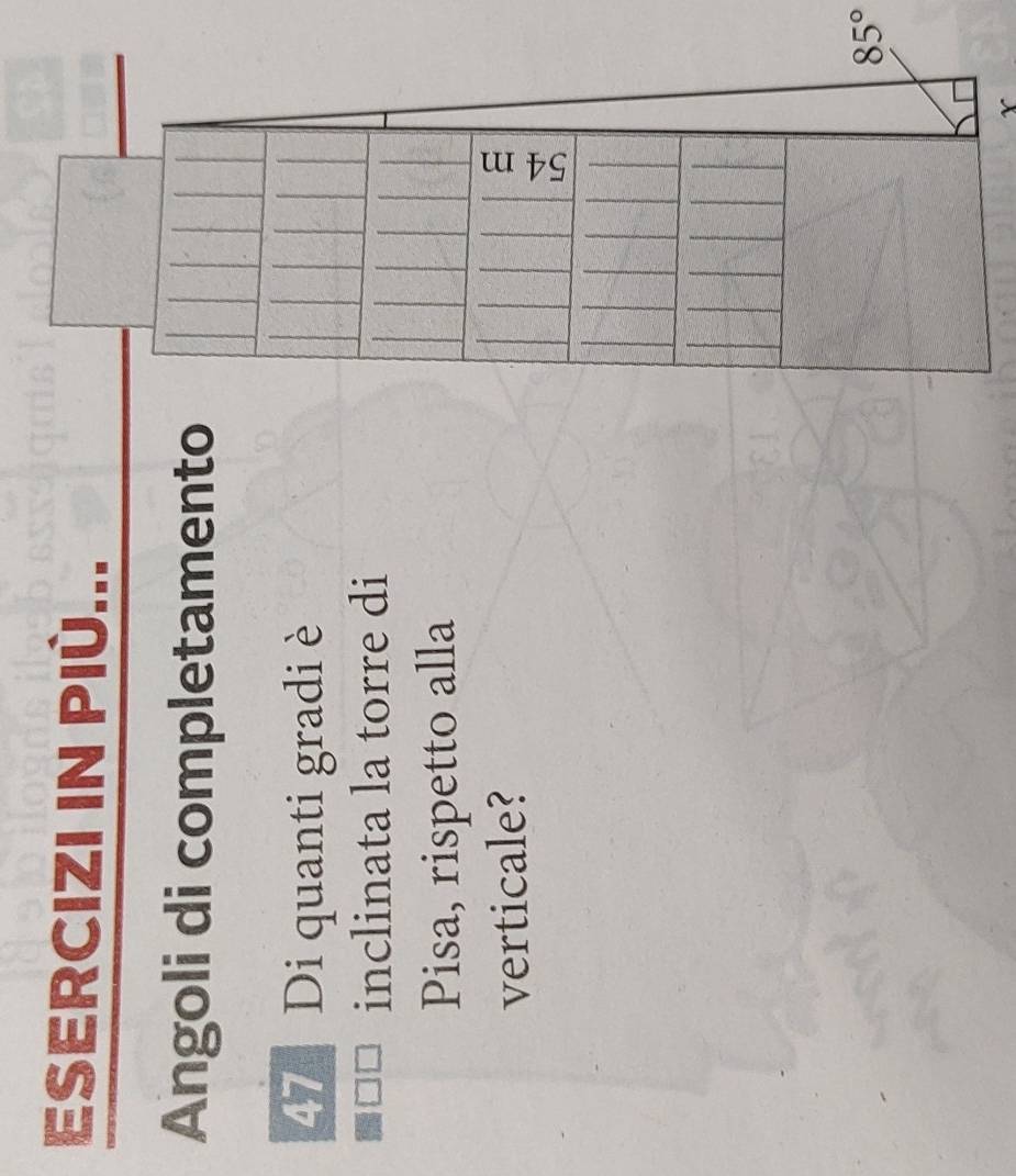 ESERCIZI IN PIÚ... 
Angoli di completamento
47 Di quanti gradi è 
inclinata la torre di 
Pisa, rispetto alla 
verticale?
85°
x